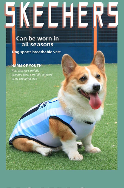 Camiseta del mundial para mascotas (5 equipos)