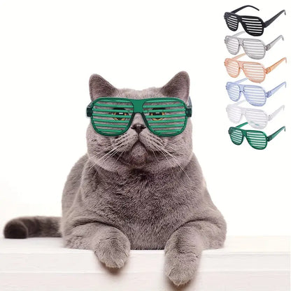 Gafas de sol para gatos