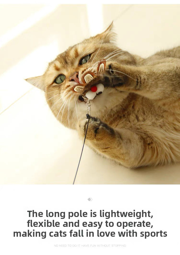 Cañita para gatos con forma de pajaros