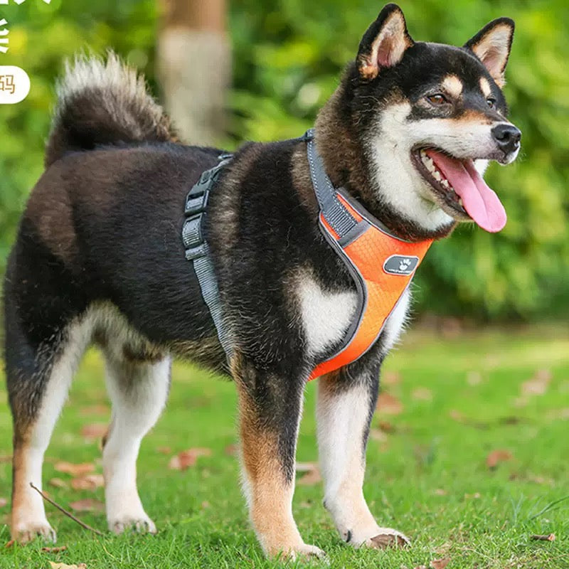 Pechera para perros grandes modelo 425