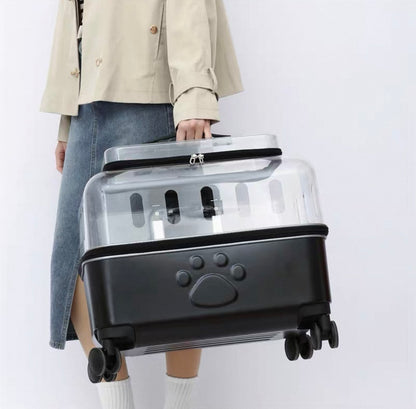 Maleta de ruedas transparente MR10