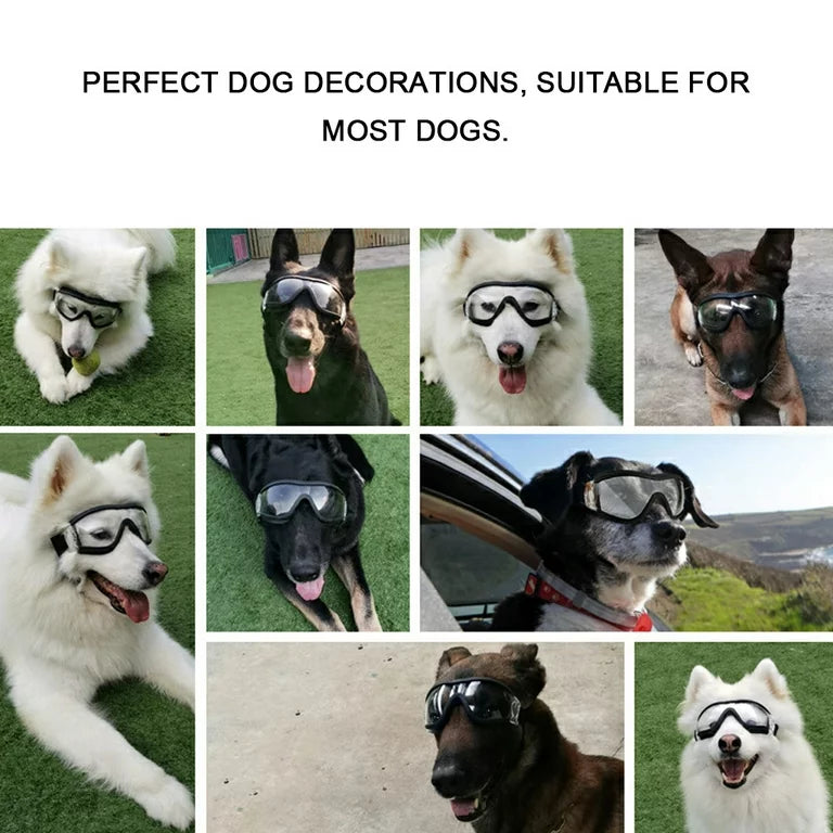 Gafas de sol para perros