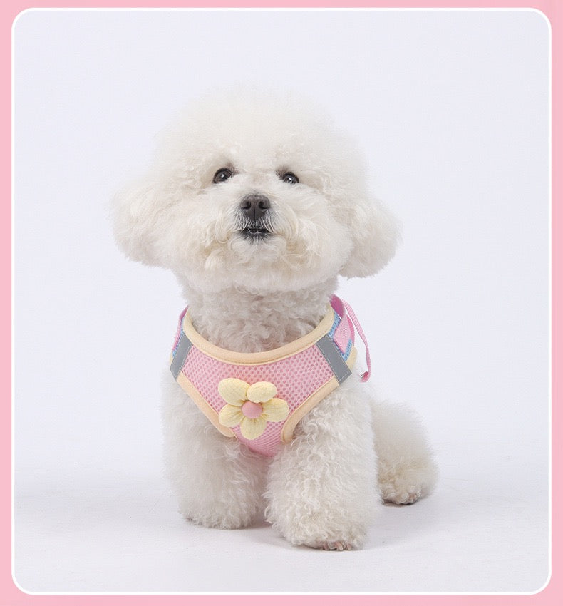 Pechera raza pequeña flor HAR07