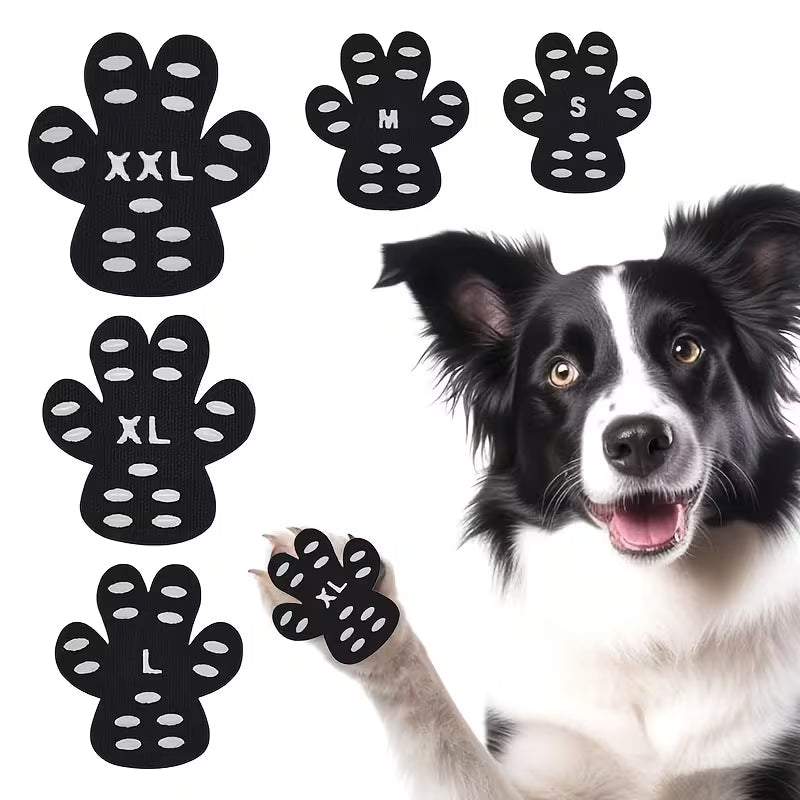 Parches protectores para patas