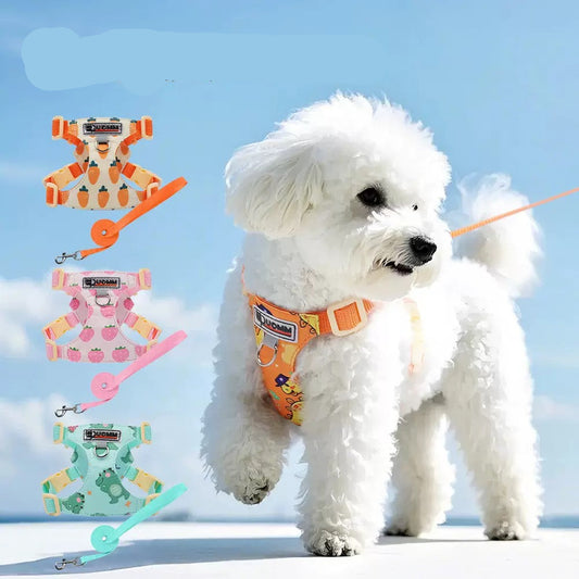 Pechera con correa para mascotas pequeñas modelo 120