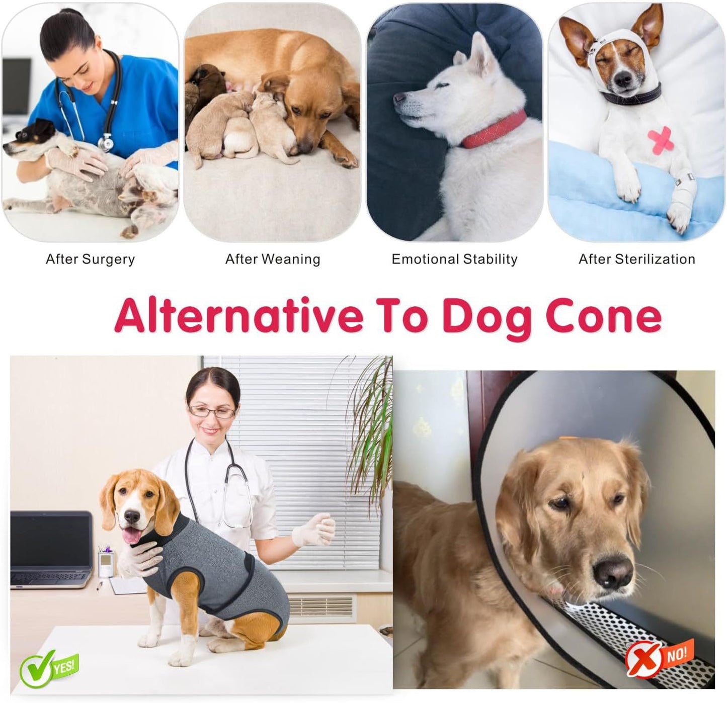 Traje postoperatorio para perros modelo T24