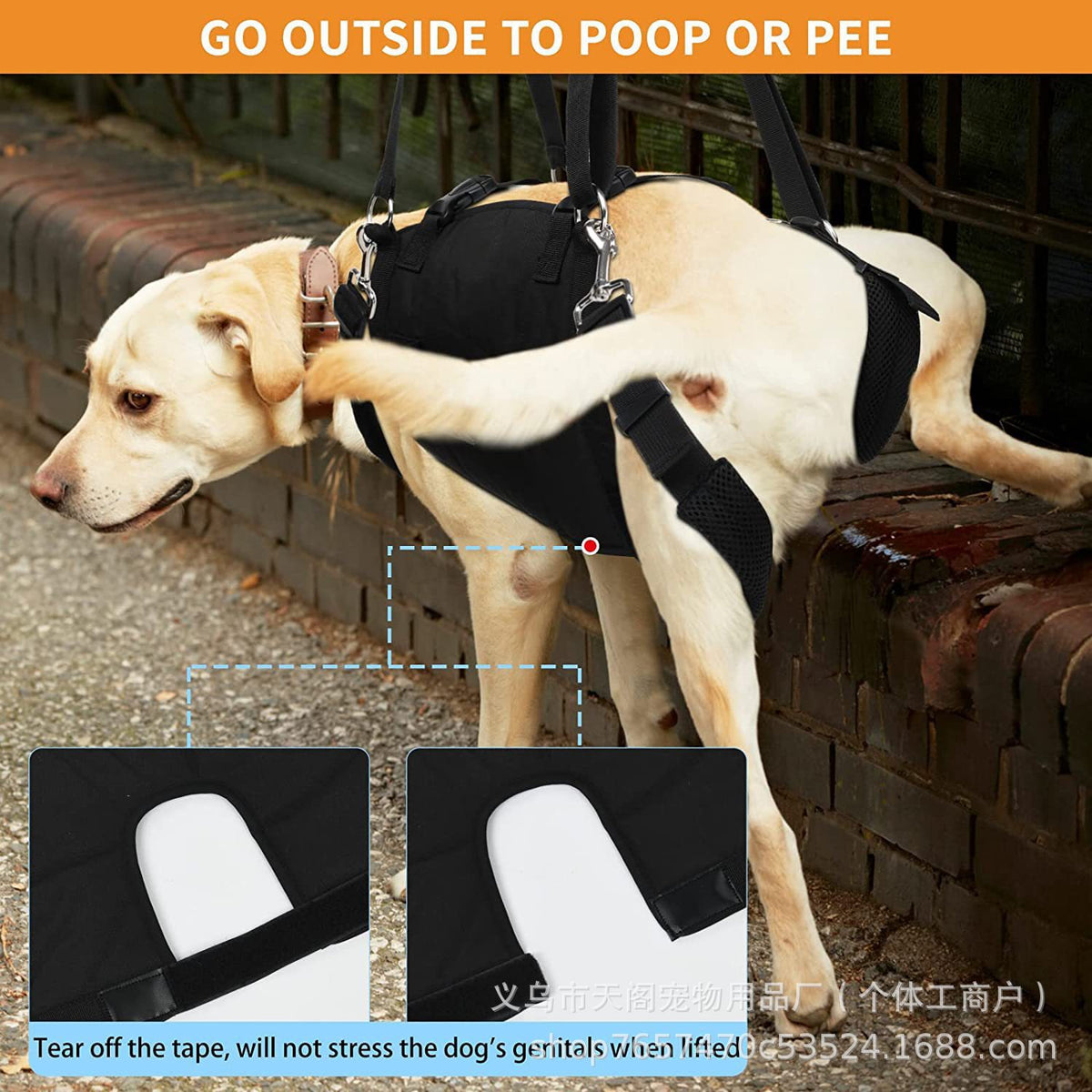 Soporte para perros ancianos de raza grande (Modelo 003)