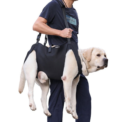 Soporte para perros ancianos o problemas articulares (Modelo 006)