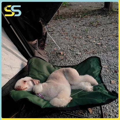 Cama elevada y portátil para perros pequeños y medianos