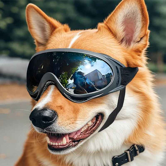 Lentes de sol ajustables para perros