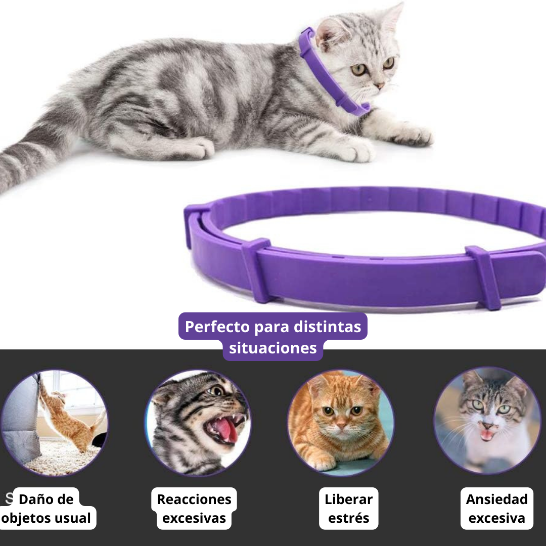 Collar calmante para gatos (Una unidad)