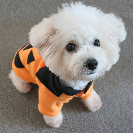 Camiseta de calabaza para Halloween