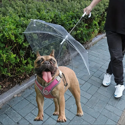 Paraguas para mascotas pequeñas (70cm diametro)