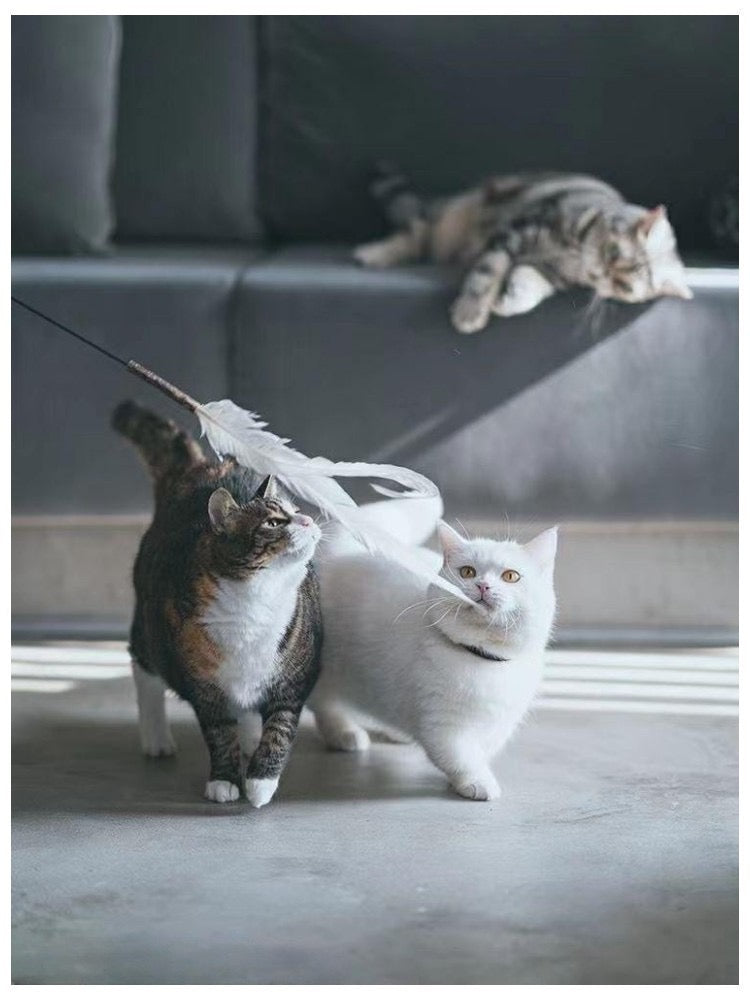 Cañita de gatos 160cm de largo