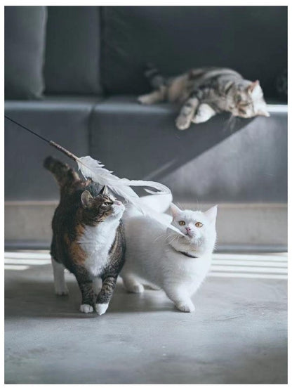 Cañita de gatos 160cm de largo