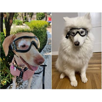 Gafas de sol para perros