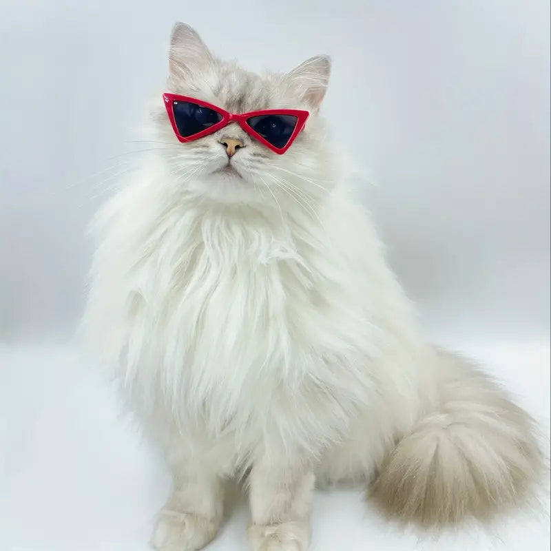 Gafas de sol triangulares para gatos