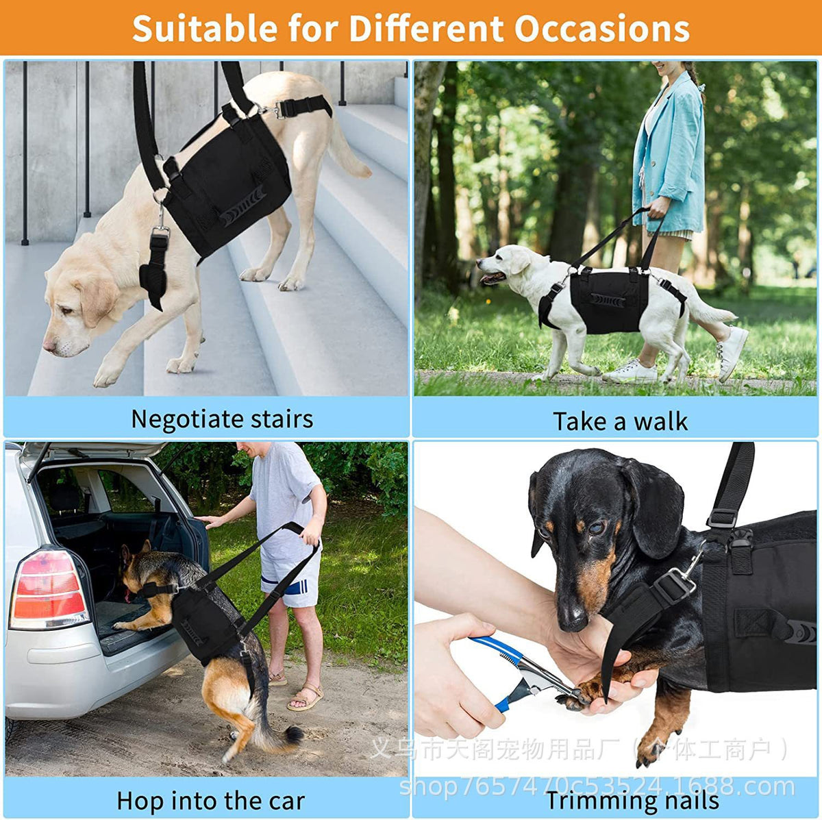 Soporte para perros ancianos de raza grande (Modelo 003)