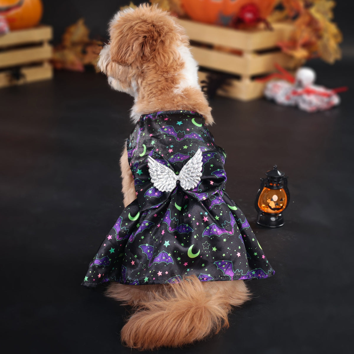 Vestido de halloween para mascotas #5 y #6
