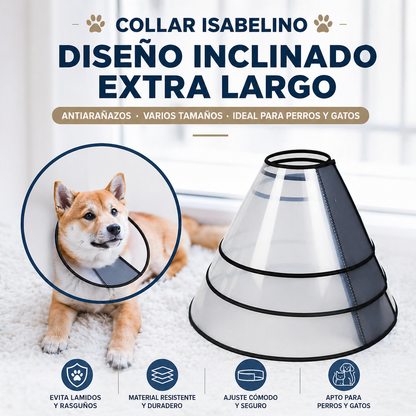 Cono isabelino de plástico para mascotas Modelo #CL30
