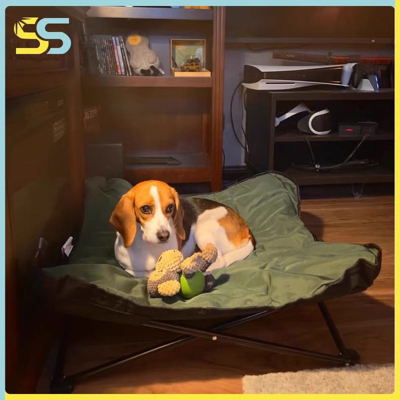 Cama elevada y portátil para perros pequeños y medianos