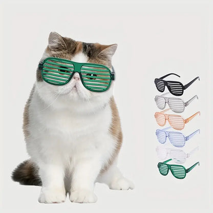 Gafas de sol para gatos