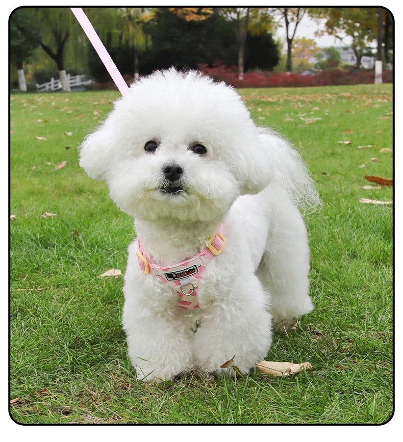 Pechera con correa para mascotas pequeñas modelo 120