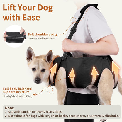 Soporte para perros ancianos o problemas articulares (Modelo 006)