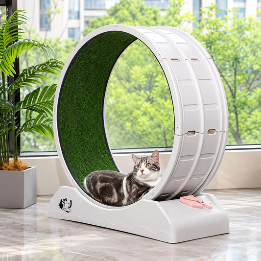 Rueda de correr para gatos 80cm