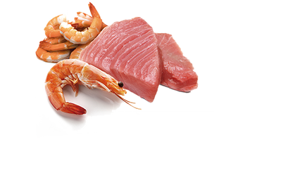 Comida Húmeda para Gato Farmina: N&D, Lata ocean Atún y camarón 70g