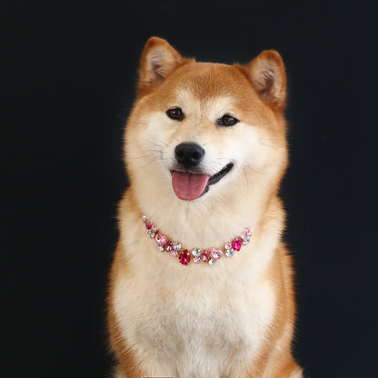 Collar brillante de piedra de colores para mascotas