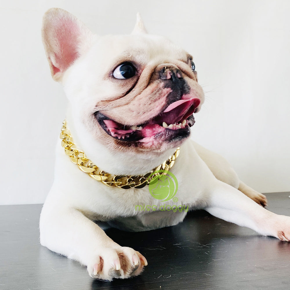 Collar chapado en plástico dorado para mascotas