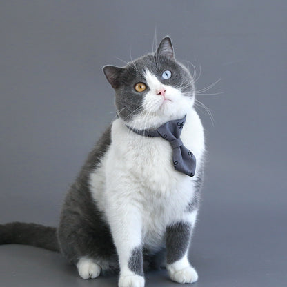 Collar con corbata para mascotas pequeñas
