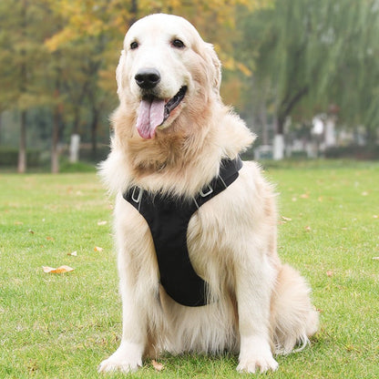 Pechera con correa modelo 429 para perros raza grande