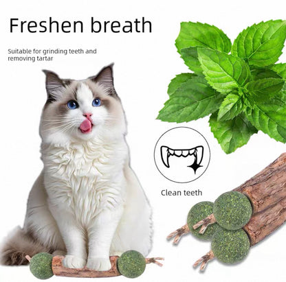 Matatabi de juguete con catnip 1un