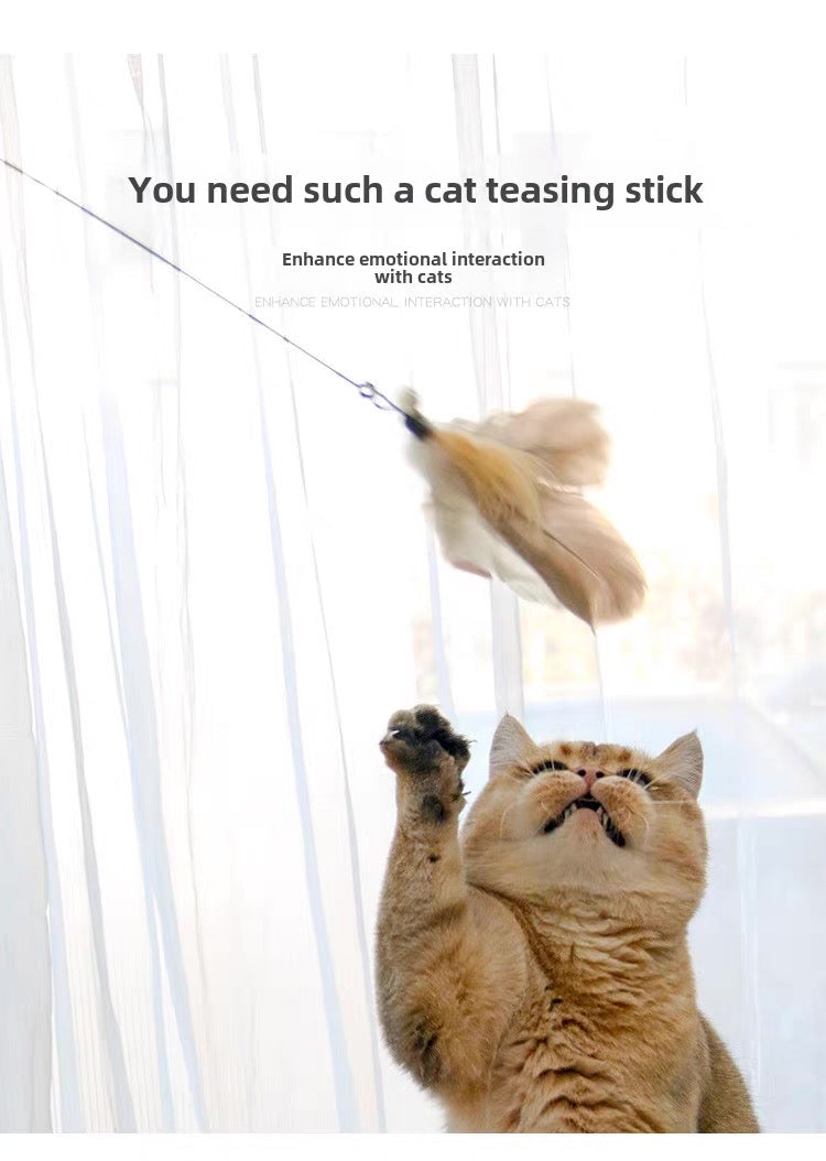 Cañita para gatos con plumas