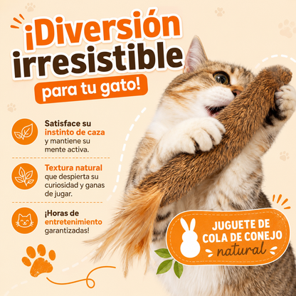 Juguete para gatos con olor a conejo