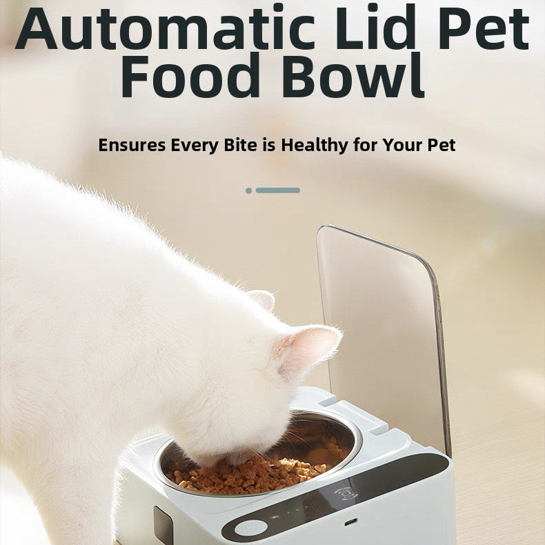 Plato con sensor inteligente para mascotas