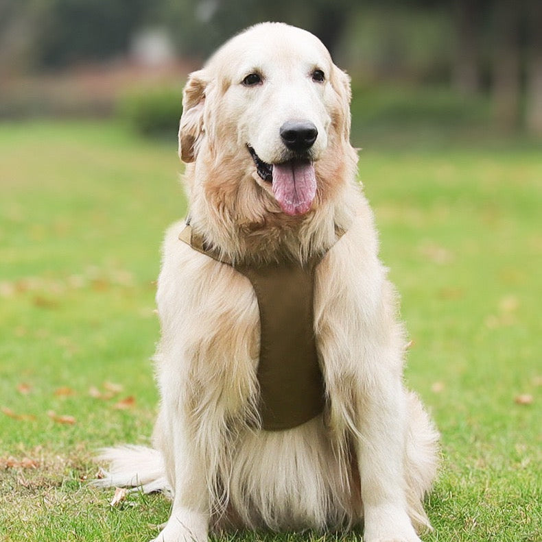 Pechera con correa modelo 429 para perros raza grande
