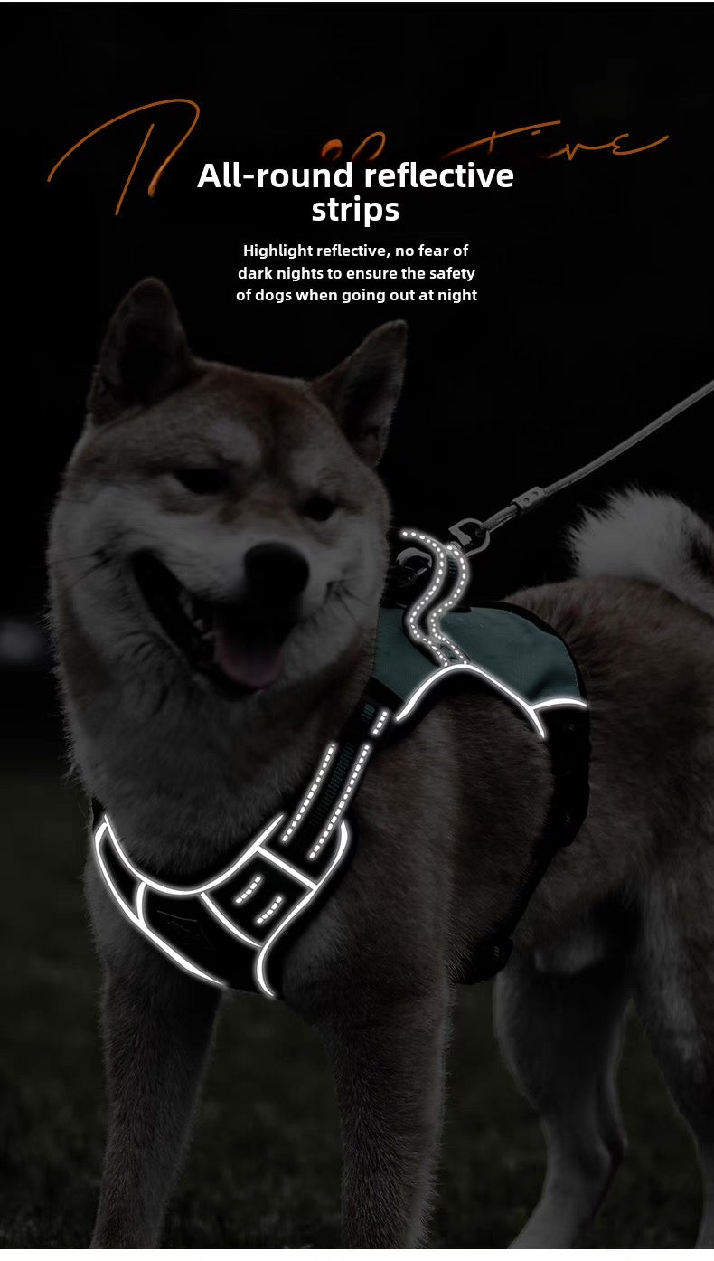 Pechera con correa para perros medianos y grandes