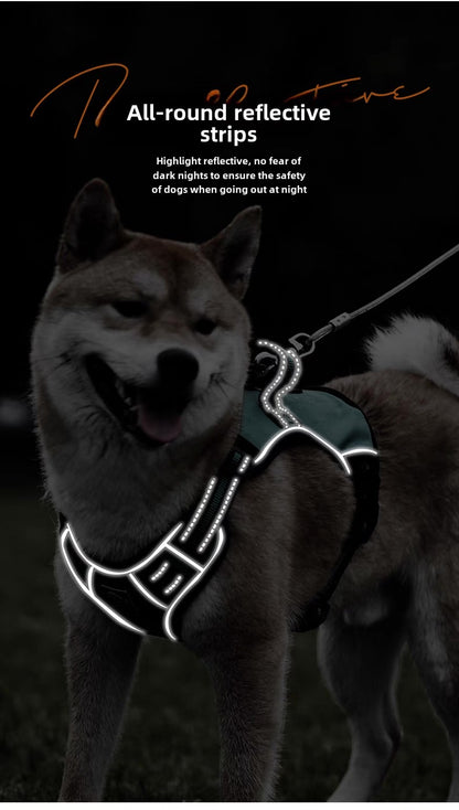 Pechera con correa para perros medianos y grandes