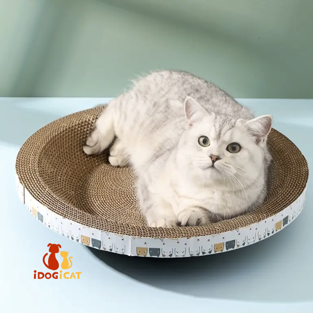 Rascador de cartón corrugado R321 para gatos