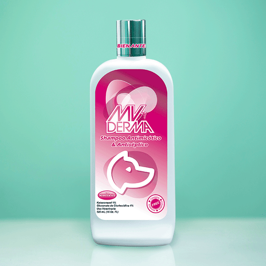 Shampoo MV Derma Antimicótico & Antiséptico 500ML