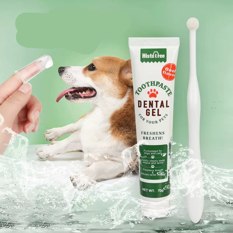 Kit dental para gatos y perros