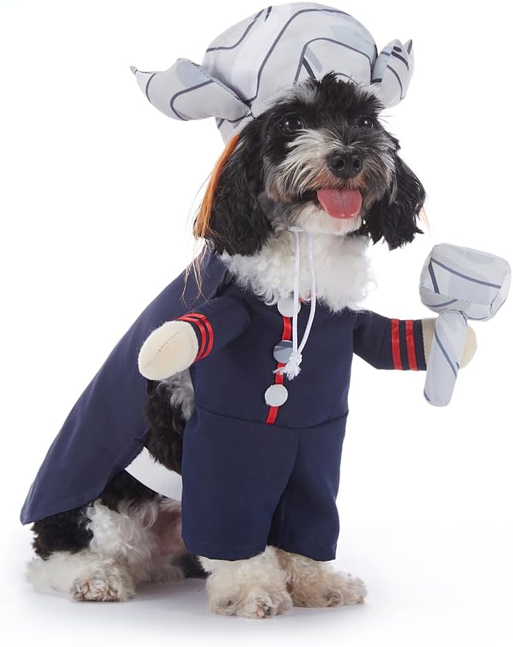 Disfraz de thor para mascotas modelo PF92