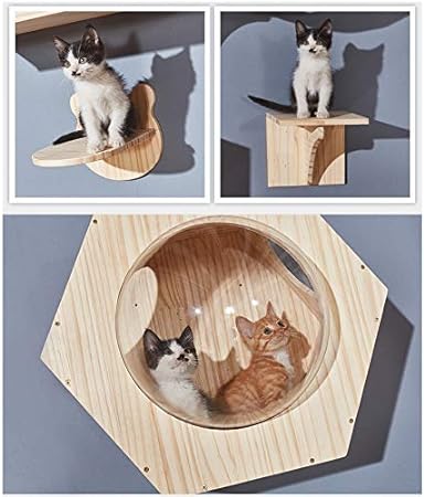 Villa de Gato para Pared ( Modelo- B）