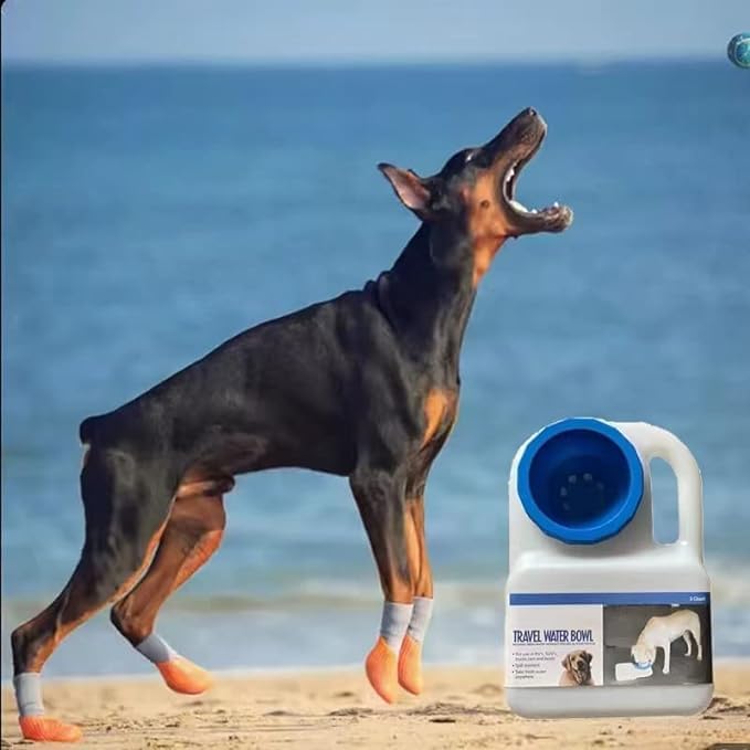 Bebedero portátil para mascotas, ideal para autos, autocaravanas y viajes