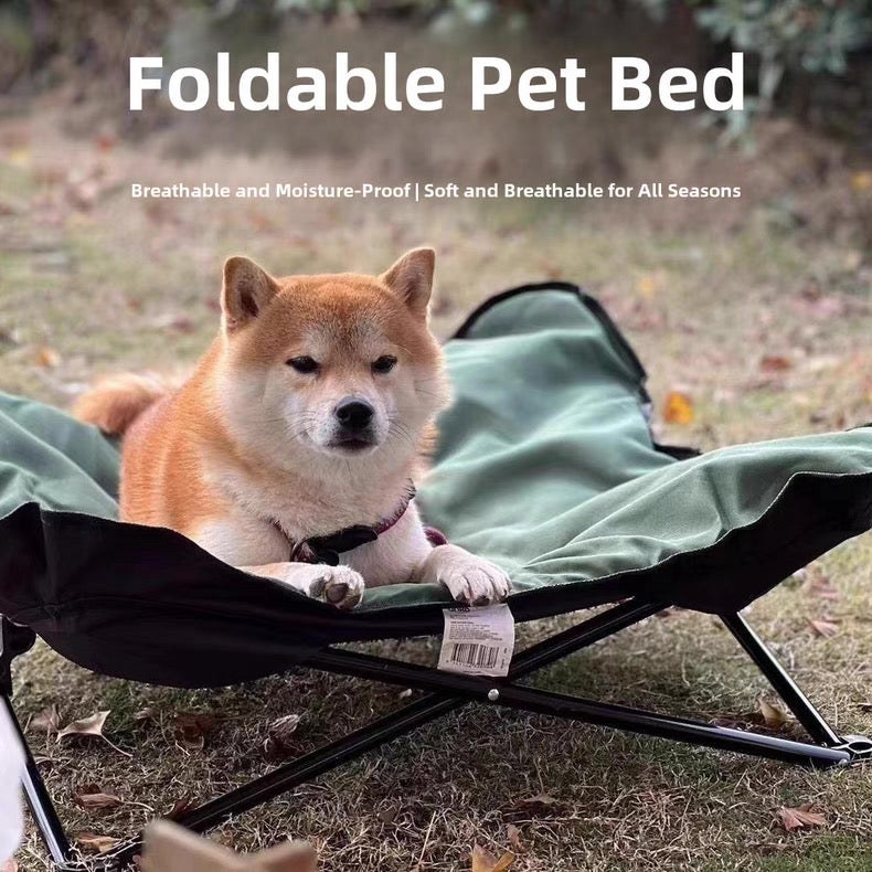 Cama elevada y portátil para perros pequeños y medianos