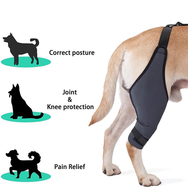 Soporte de pierna trasera para perros