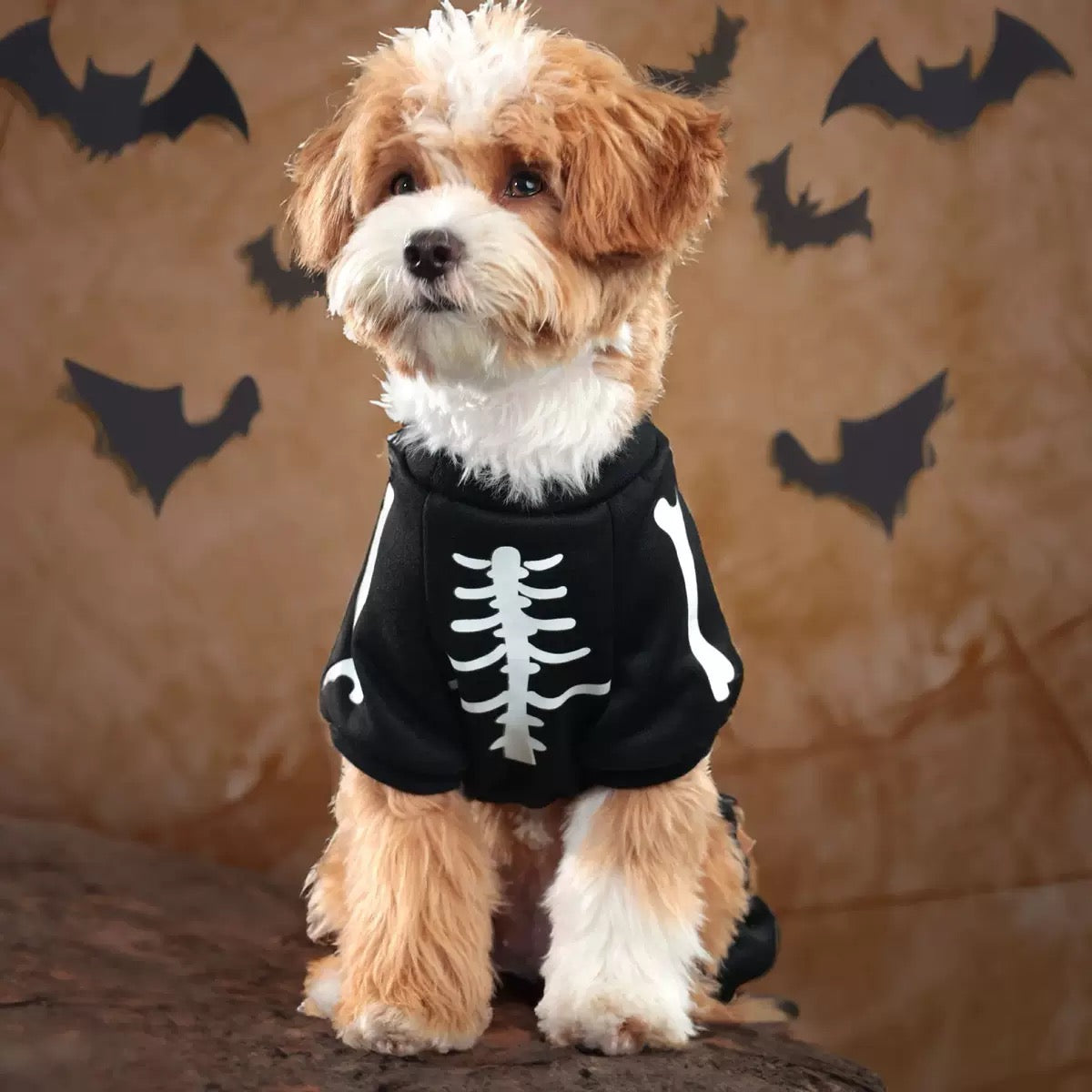 Abrigo esqueleto de halloween para mascotas